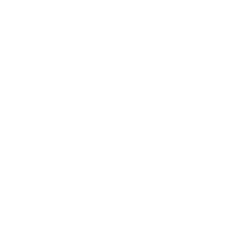 We Buy Every Car, No Questions Asked